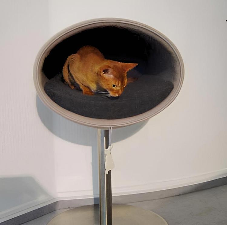 Unique cat scratcher RONDO Stand felt