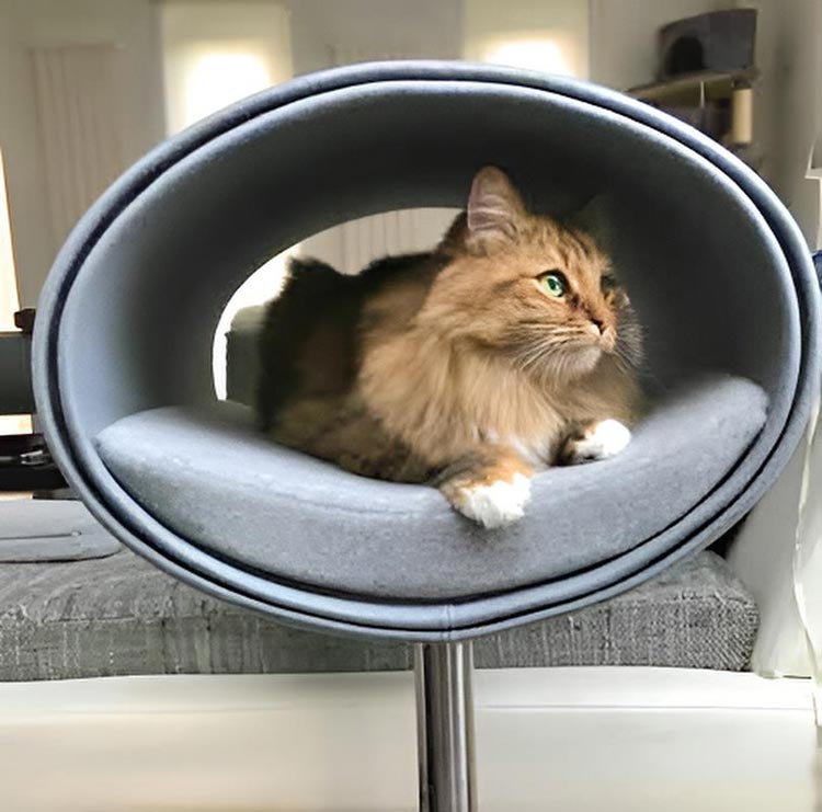 Unique cat scratcher RONDO Stand felt
