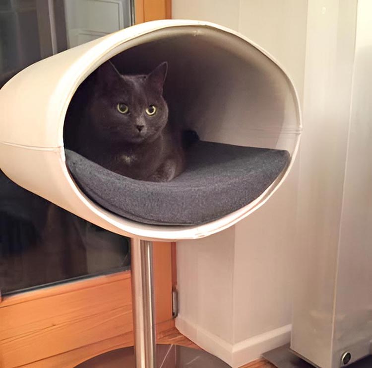 Design cat tree RONDO Stand Leather
