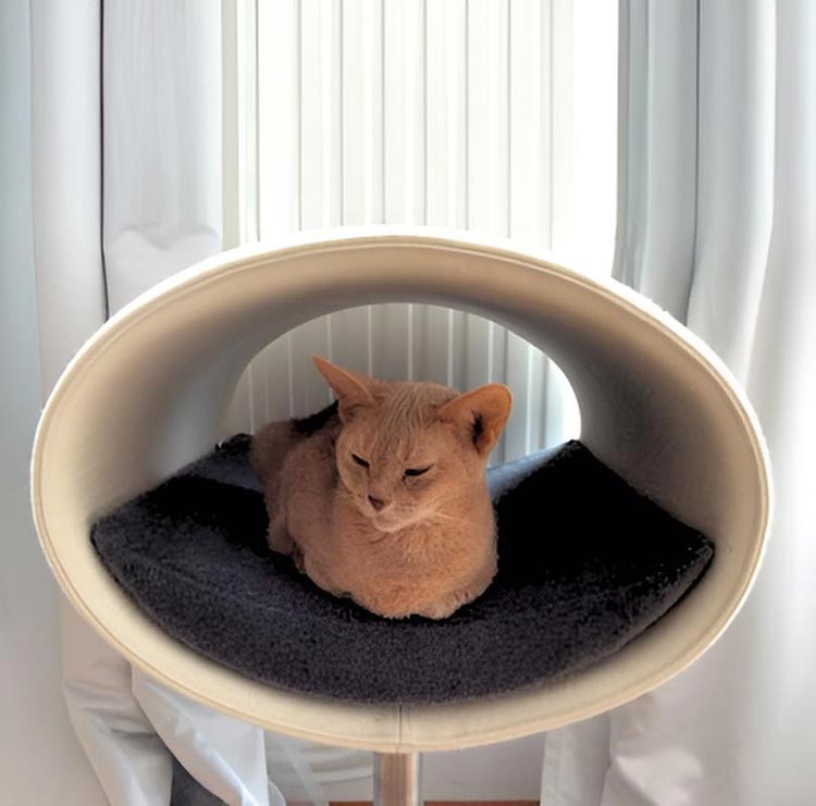 Unique cat scratcher RONDO Stand felt