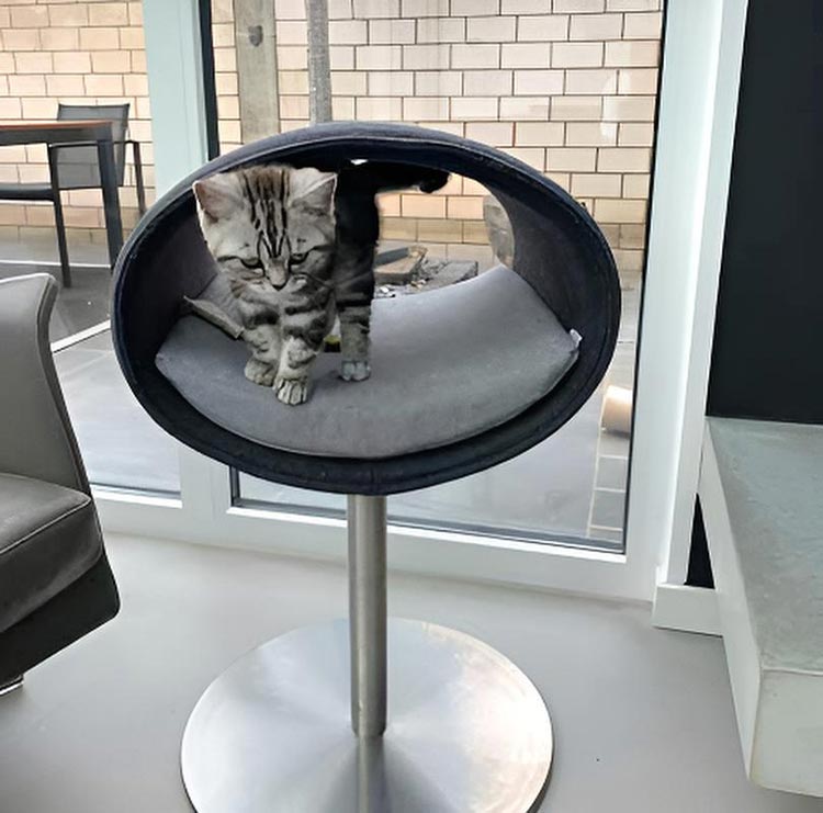 Unique cat scratcher RONDO Stand felt