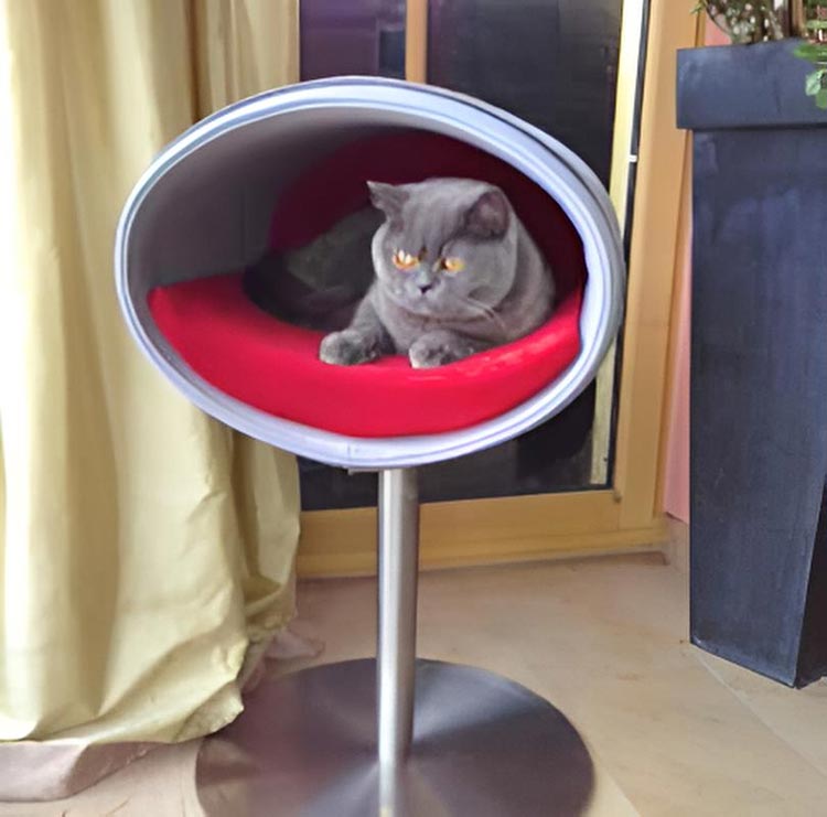 Unique cat scratcher RONDO Stand felt