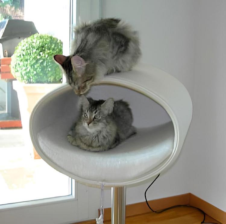 Unique cat scratcher RONDO Stand felt