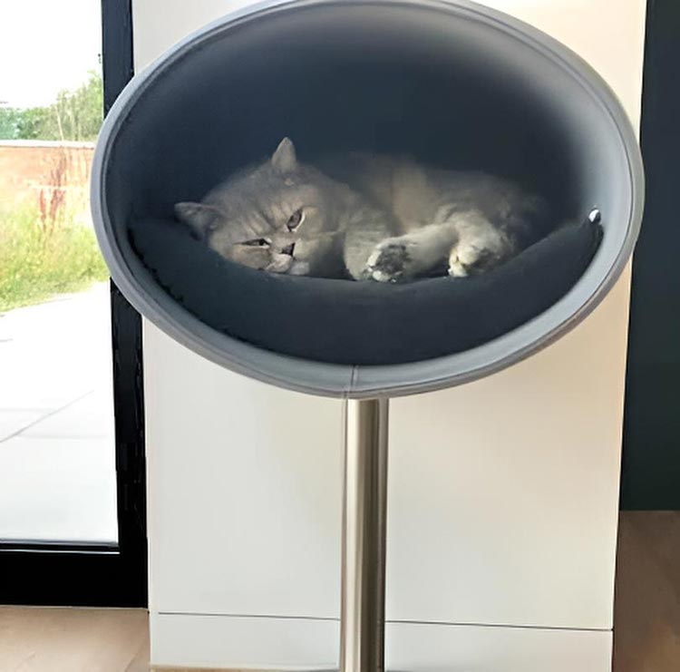 Unique cat scratcher RONDO Stand felt