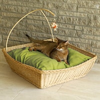 BOWL Rattan - Katzenbett mit 100% Latexf�llung