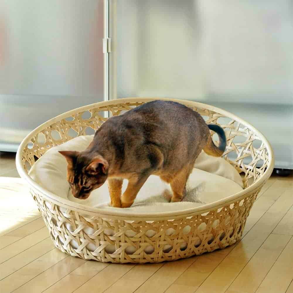 ARENA Rattan - Katzenbett mit 100% Latexf�llung.