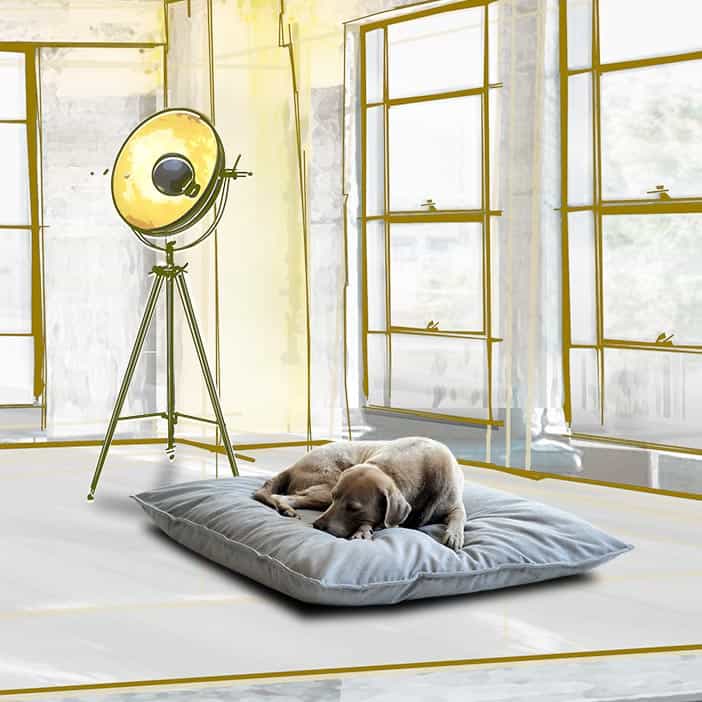 DIVAN Uno - orthopaedic pet bed