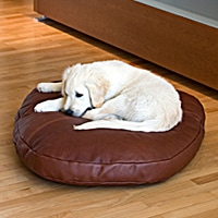 STONE leather dog pillow