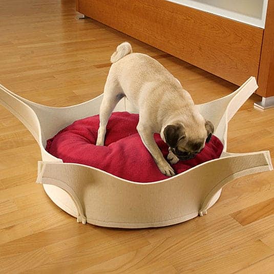 HARRY Felt - orthopedic dog bed