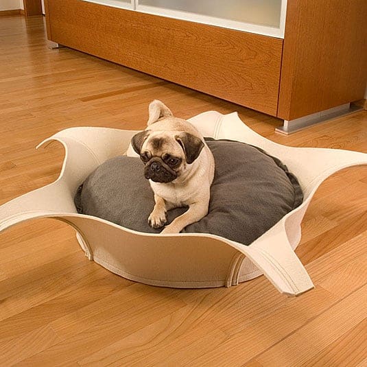 STARLET Felt - round dog bed