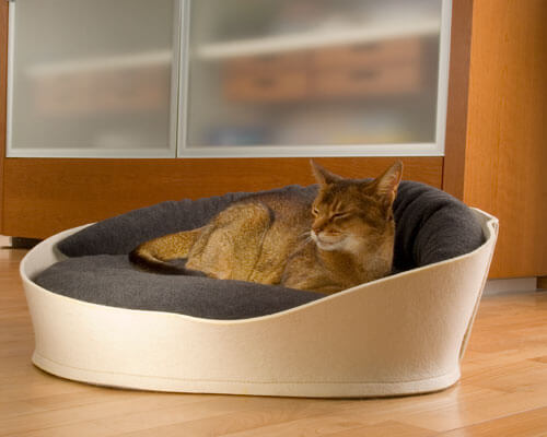 Katzenkorb-Filz-Pflege-exklusiv-Katzenbett-luxus-pet-interiors