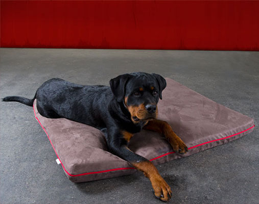 Viskoelastische-Memory-Foam-Hundematte-Mikrofaser-Mary-pet-interiors