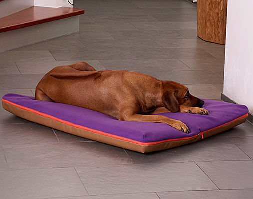 Viskoelastisches-Hundebett-Flausch-Fleece-Kunstleder-Paul-pet-interiors