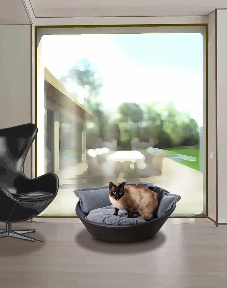 Cat Bed Out Of Leather In High End Quality And Great Design