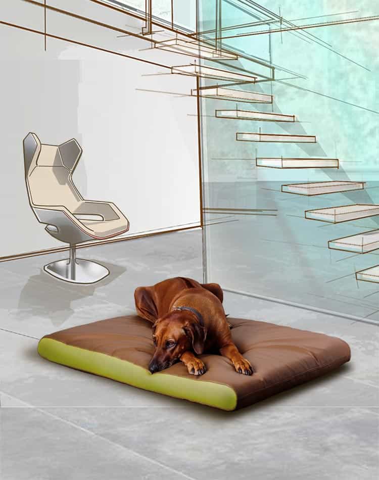 Memory foam dog mat PETER