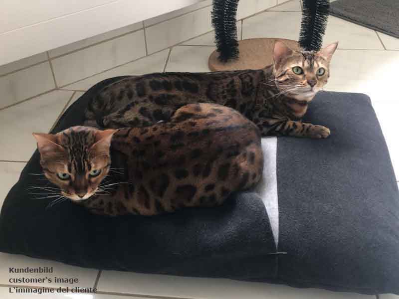 Sleeping bag for cats Divan DUE