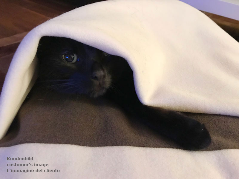 Sleeping bag for cats Divan DUE