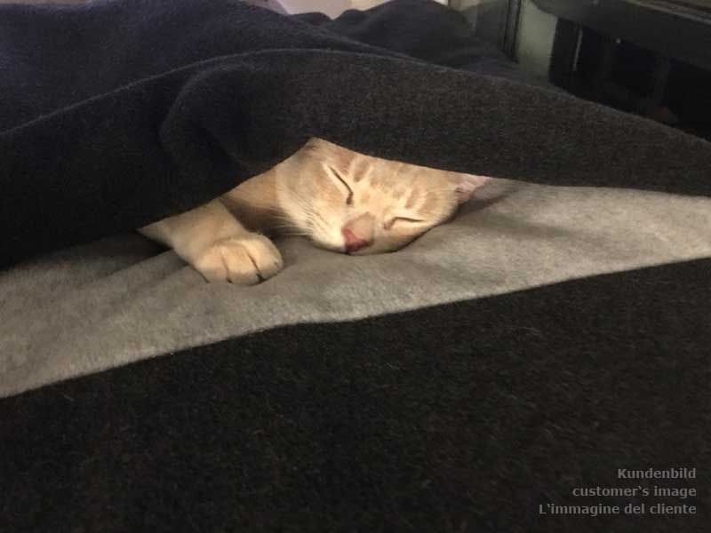 Sleeping bag for cats Divan DUE