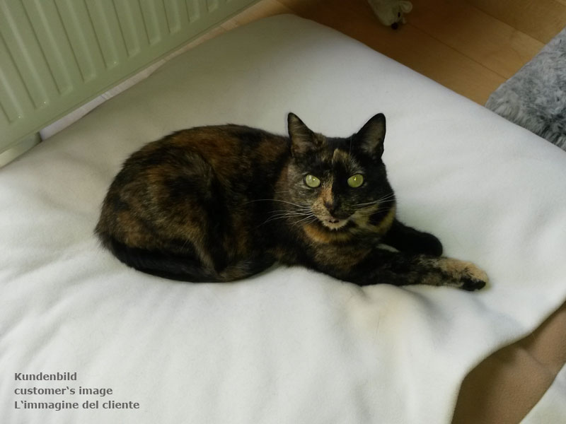 Sleeping bag for cats Divan DUE