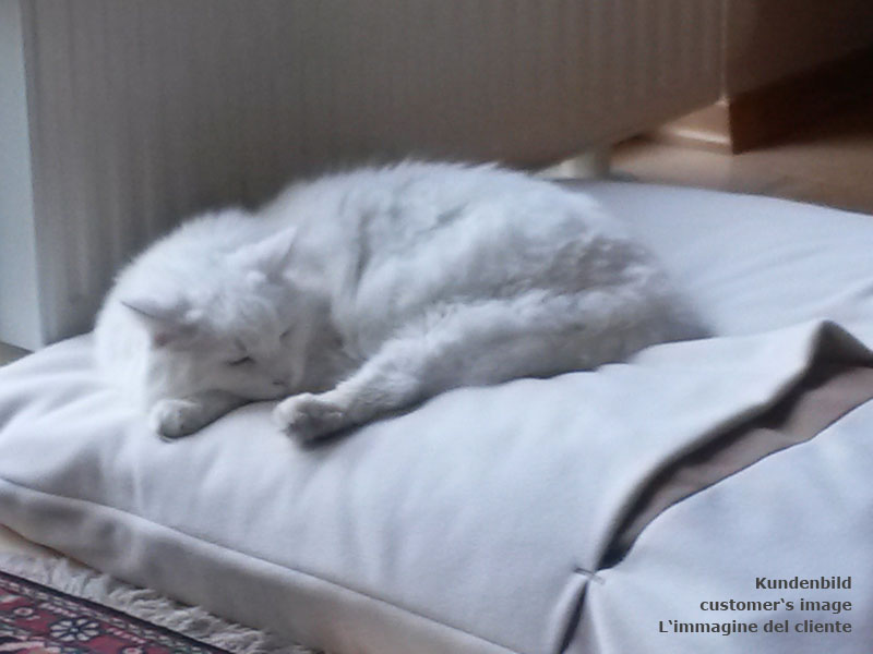 Sleeping bag for cats Divan DUE