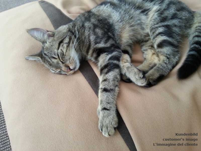 Sleeping bag for cats Divan DUE