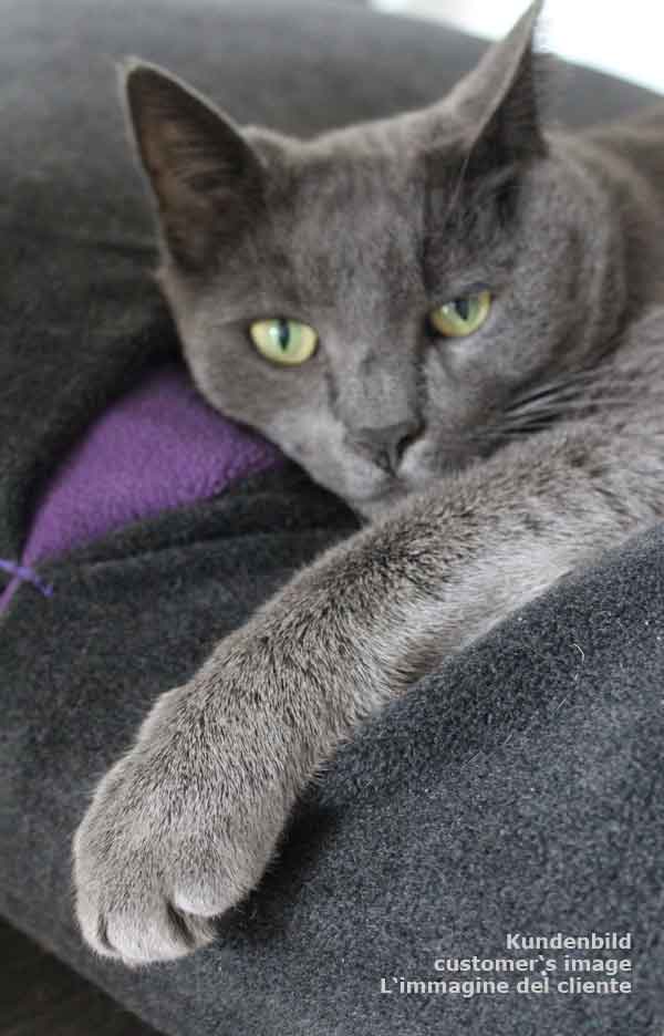 Sleeping bag for cats Divan DUE