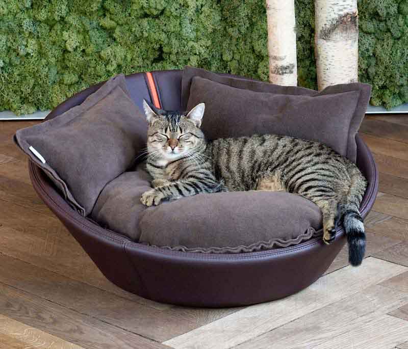 leather cat bed