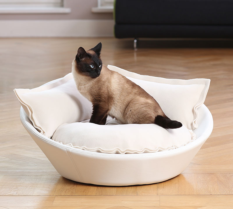 leather cat bed