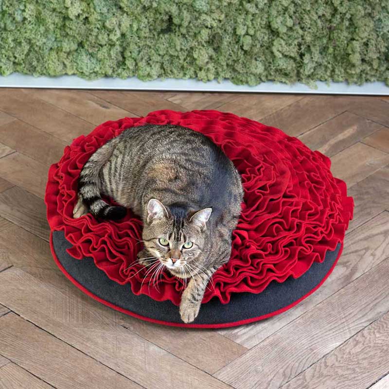 Round cat cushion Lounge ROSE