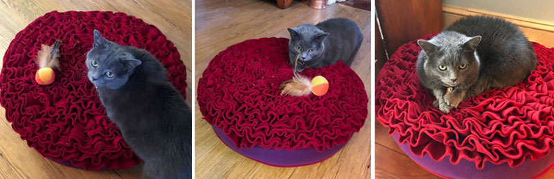 Round cat cushion Lounge ROSE