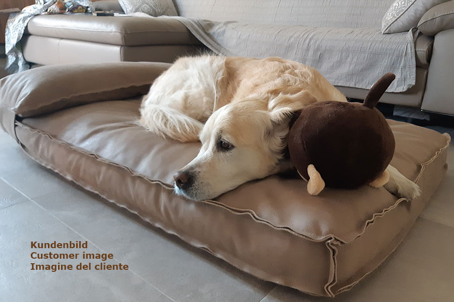 cheap dog cushions