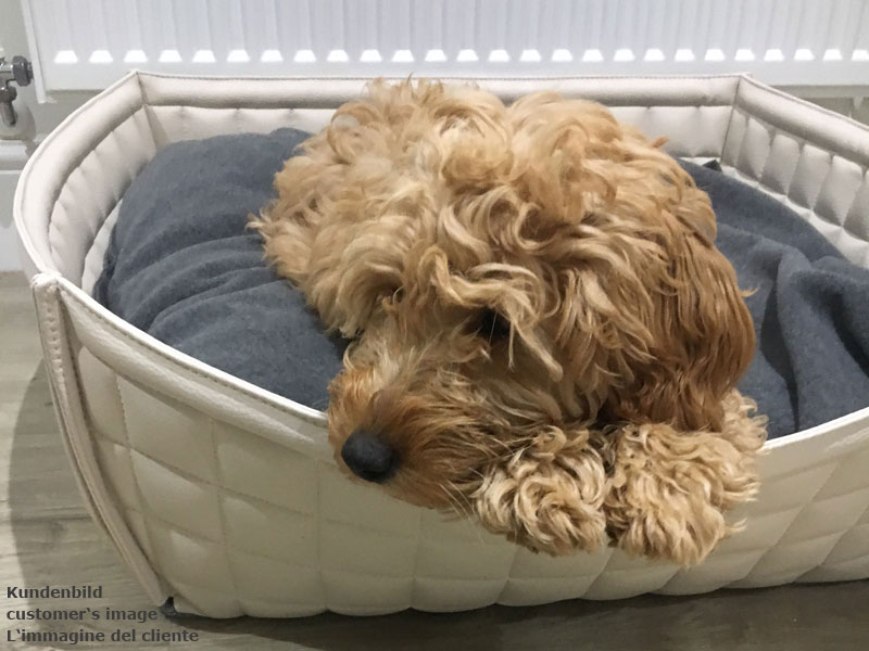 Dog basket Bowl faux leather