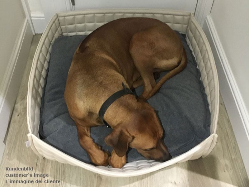 Dog basket Bowl faux leather