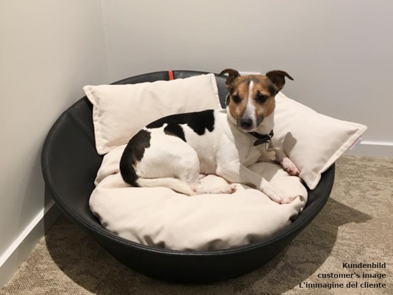 Leather dog basket MILA