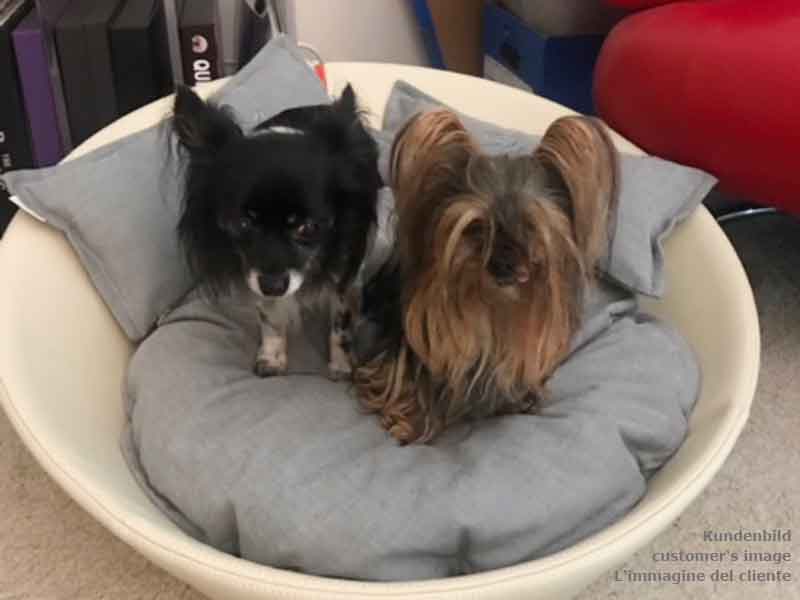 Leather dog basket MILA