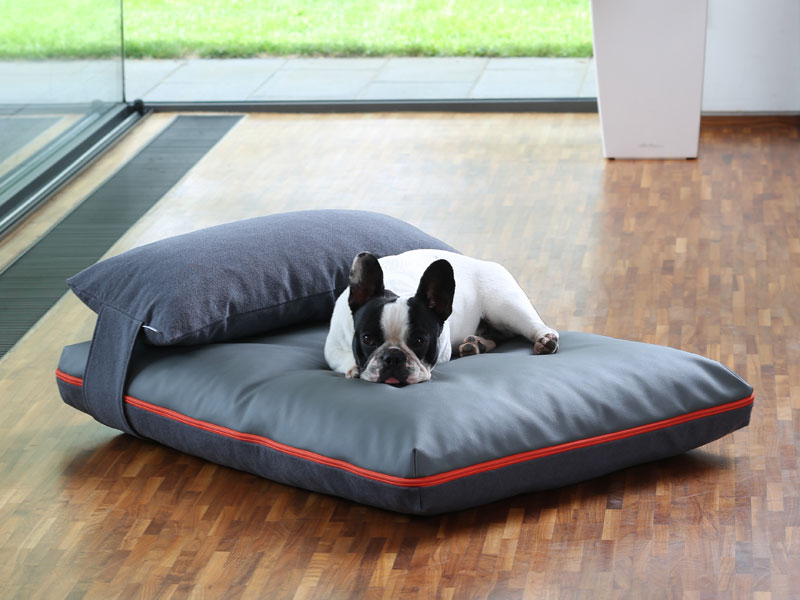 science diet oral care cat