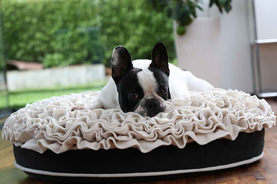 Round dog cushion Lounge ROSE