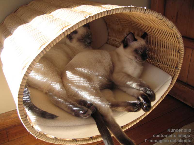 wicker cat scratcher