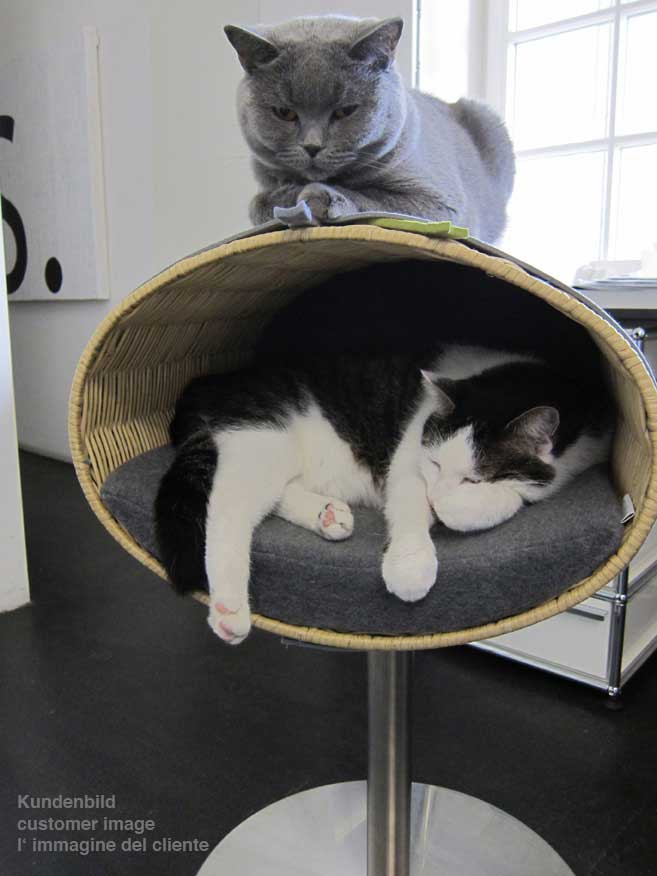 wicker cat scratching post