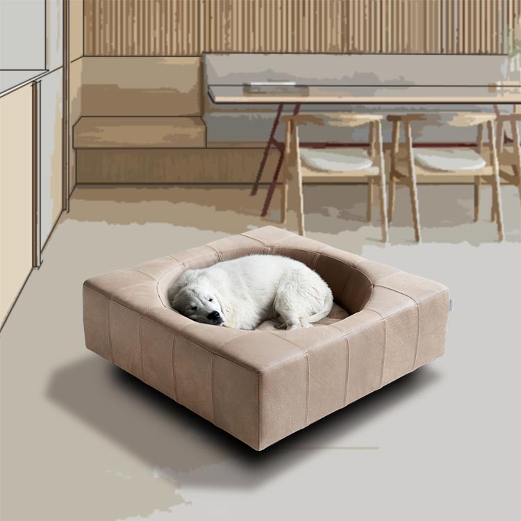 Design Hundebett CUBE Leder