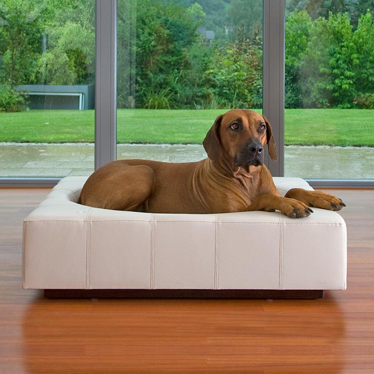 Design Hundebett CUBE Leder