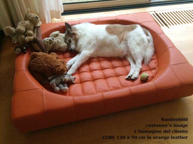 Design Hundebett CUBE Leder