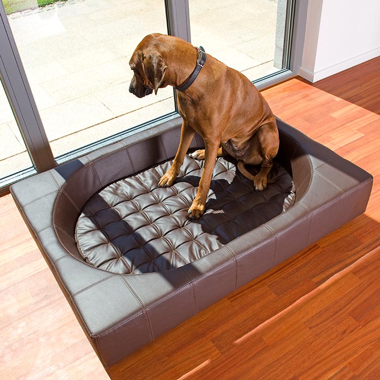 Design dog bed CUBE faux leather