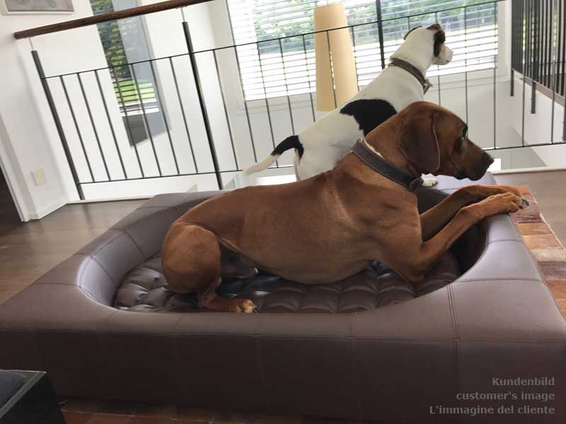 Design dog bed CUBE faux leather