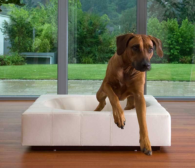 Design dog bed CUBE faux leather