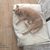 Sleeping bag for cats Divan DUE