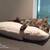 Sleeping bag for cats Divan DUE