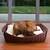 Dog basket Bowl faux leather