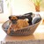 Designer dog basket SIRO Twist