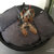 Leather dog basket MILA